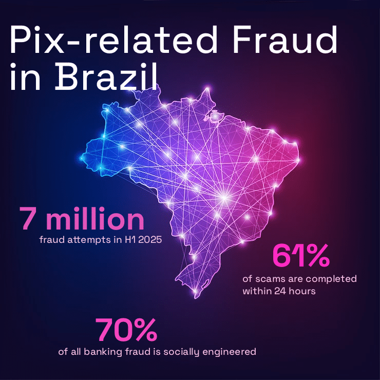 Infographic pink purple blue image of Brazil and fraud stats